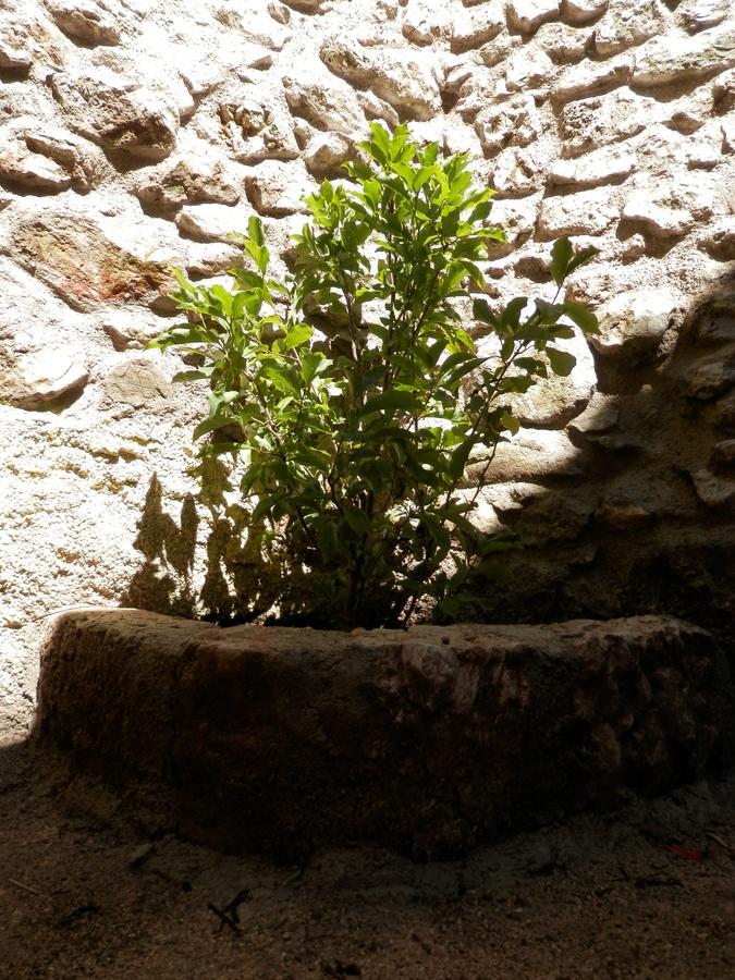Cali B&B Alatri Екстериор снимка